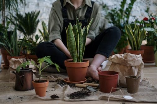 Person sitting indoors surrounded by potted plants and gardening tools, fostering nature
